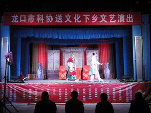 市科協組織開展文化下鄉文藝演出與交流活動，助力鄉村文化振興